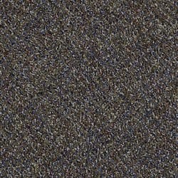 Shaw Floors Canyon Vista 24 in. W X 24 in. L Neutral Yarns Green Carpet Floor Tile 48 sq ft