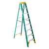 Werner 8 ft. H Fiberglass Step Ladder Type II 225 lb. capacity - Ace ...