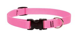 LupinePet Basic Solids Pink Pink Nylon Dog Adjustable Collar