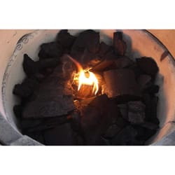 Big Green Egg All Natural Brazilian Hardwood Lump Charcoal 17.5 lb