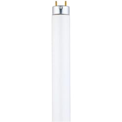 Westinghouse Eco Max 28 W T8 48 in. L Fluorescent Bulb Cool White Linear 4100 K 1 pk