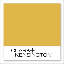 Clark+Kensington Margarita Time 22B-6