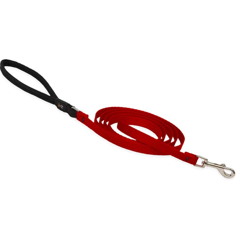 Lupine Pet Basic Solids Red Red Nylon Dog Leash Ace Hardware