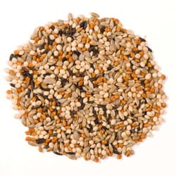 Nature's Nuts XtremeClean Finch Millet Wild Bird Food 5 lb