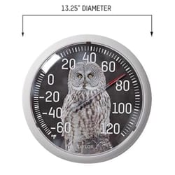 Taylor Owl Dial Thermometer Plastic Multicolored 13.25 in.