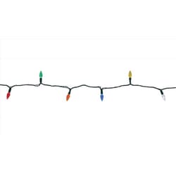 Celebrations Platinum LED C6 Multicolored 50 ct String Christmas Lights 25 ft.