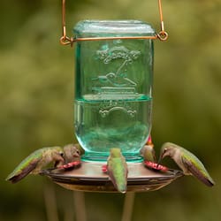 More Birds Hummingbird 25 oz Glass Jar Nectar Bird Feeder 5 ports