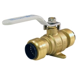 Apollo Tectite 3/4 in. Brass Push Fit Ball Valve with Drain Standard Port