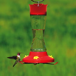 Bird hotsell feeder supplies