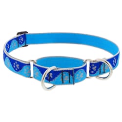 LupinePet HighLights Blue Paws Nylon Dog Martingale