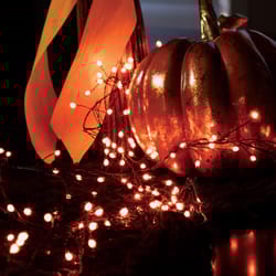 Celebrations Orange 250 ct 3 in. LED Prelit Connectable Big Seed Cluster Halloween Lights
