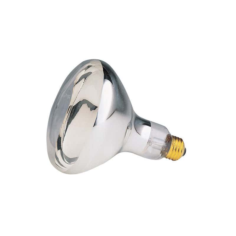 Westinghouse 125 watt R40 Reflector/Heat Lamp Incandescent Bulb E26 (Medium) White 1 pk Ace