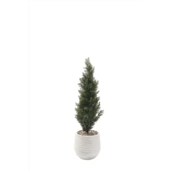 DW Silks 48 in. H X 14 in. L Polyester Cedar Topiary in White Planter