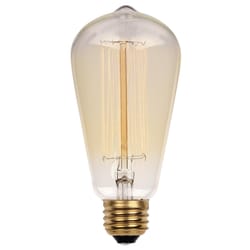 Westinghouse 40 W ST20 Decorative Incandescent Bulb E26 (Medium) White 1 pk