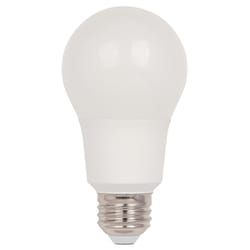 Westinghouse A19 E26 (Medium) LED Bulb Daylight 75 W 1 pk