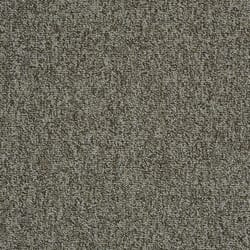 Shaw Floors Wexford 24 in. W X 24 in. L Tri-Color Mix of Yarns Gray Carpet Floor Tile 48 sq ft