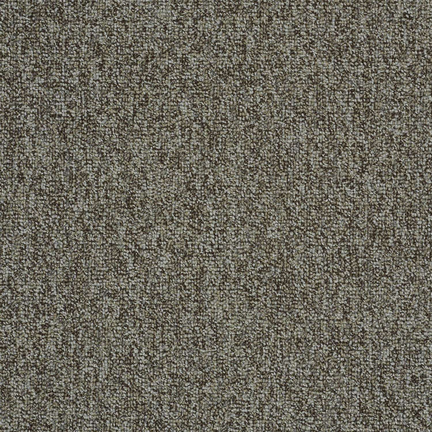 Shaw Floors Wexford 24 in. W X 24 in. L TriColor Mix of Yarns Gray