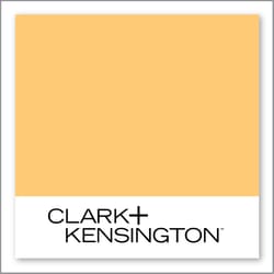 Clark+Kensington Craspedia Bouquet 18D-4