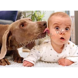 Avanti Press Dog Licks Baby's Ear Birthday Card Paper 2 pc