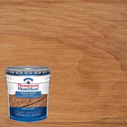 Thompson's WaterSeal Transparent Chestnut Brown Waterproofing Wood Stain and Sealer 5 gal