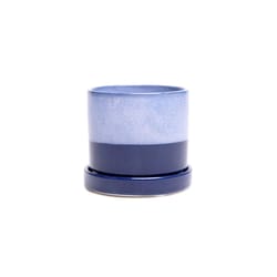 Chive Minute 3 in. D Ceramic Succulent Pot Cobalt Blue