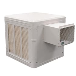 Swamp cooler 1000 sq hot sale ft