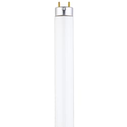 Westinghouse Eco Max 17 W T8 24 in. L Fluorescent Bulb Cool White Linear 4100 K 1 pk