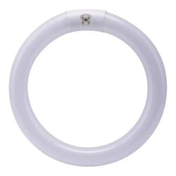 Feit 30 W T9 8.8 in. D X 8.6 in. L Circline Fluorescent Bulb Cool White Tubular 4100 K 1 pk