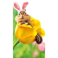 Avanti Press Seasonal Chipmunk Bunny in Tulip Easter Card Paper 2 pc