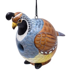 Songbird Essentials 8.66 in. H X 8 in. W X 5.51 in. L Wood Bird House