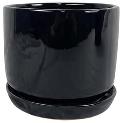 Border Concepts 8 in. D Ceramic Cover Pot Black