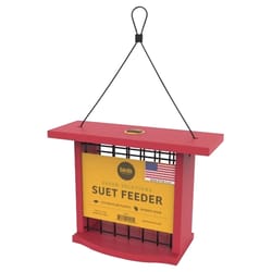 Birds Choice Plastic Suet Bird Feeder