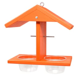 Backyard Essentials Oriole Glass/Wood Double Fruit and Jelly Bird Feeder 2 ports