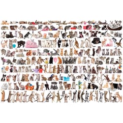 Eurographics The World of Cats Jigsaw Puzzles Multicolored 2000 pc