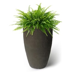 Algreen Products Athena 21 in. H X 12.5 in. D Polyethylene Double wall Planter Brownstone