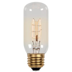 Westinghouse Timeless Vintage 60 W E26 Decorative Incandescent Bulb E26 (Medium) White 1 pk