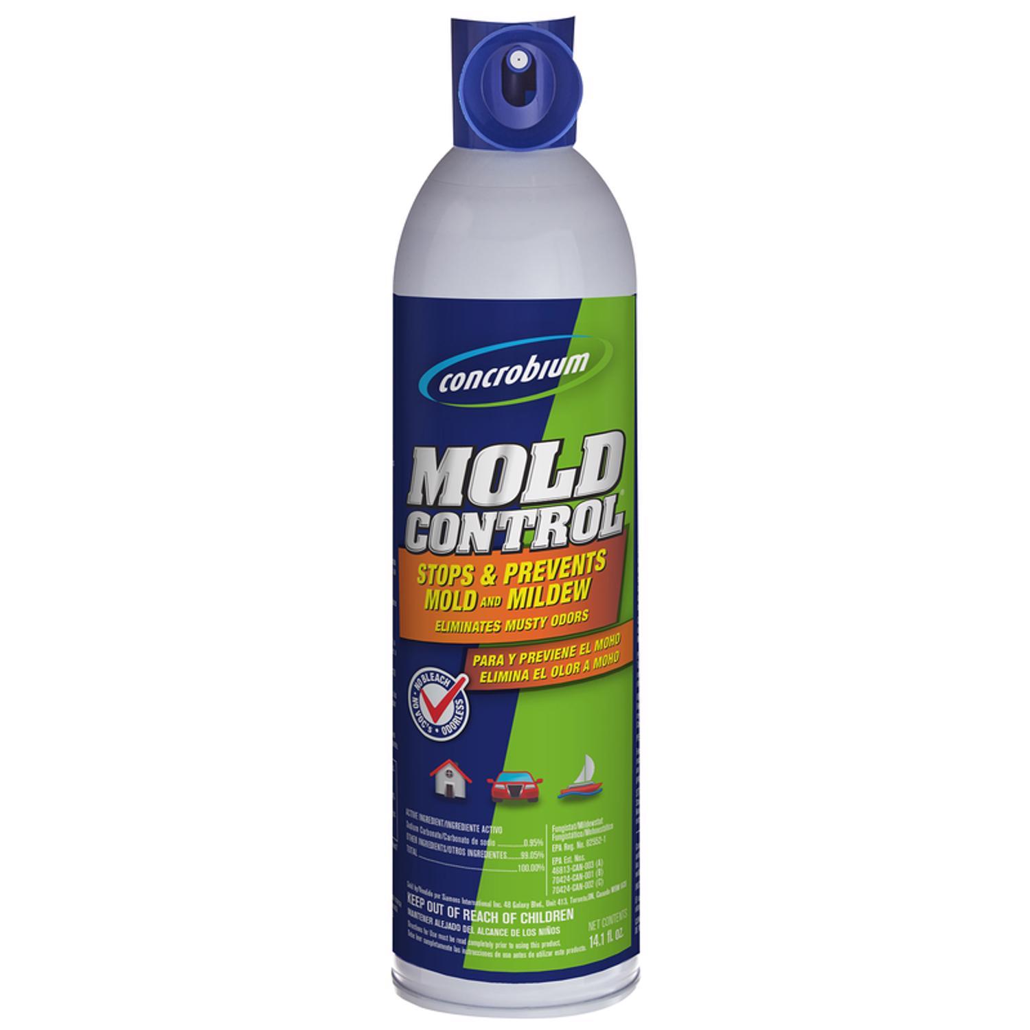 30 SECONDS Mold Killer 1 gal - Ace Hardware