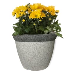 Misco 10.75 in. H X 13 in. D Resin/Stone Powder Two Tone Planter Gray/White