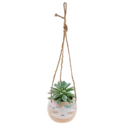 Karma 2 in. H X 2 in. L Multicolored Ceramic Hanging Succulent Pot