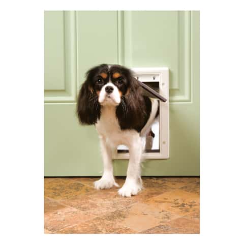 Mason Company Kennel Door Accessories: Improve Your Pet Door