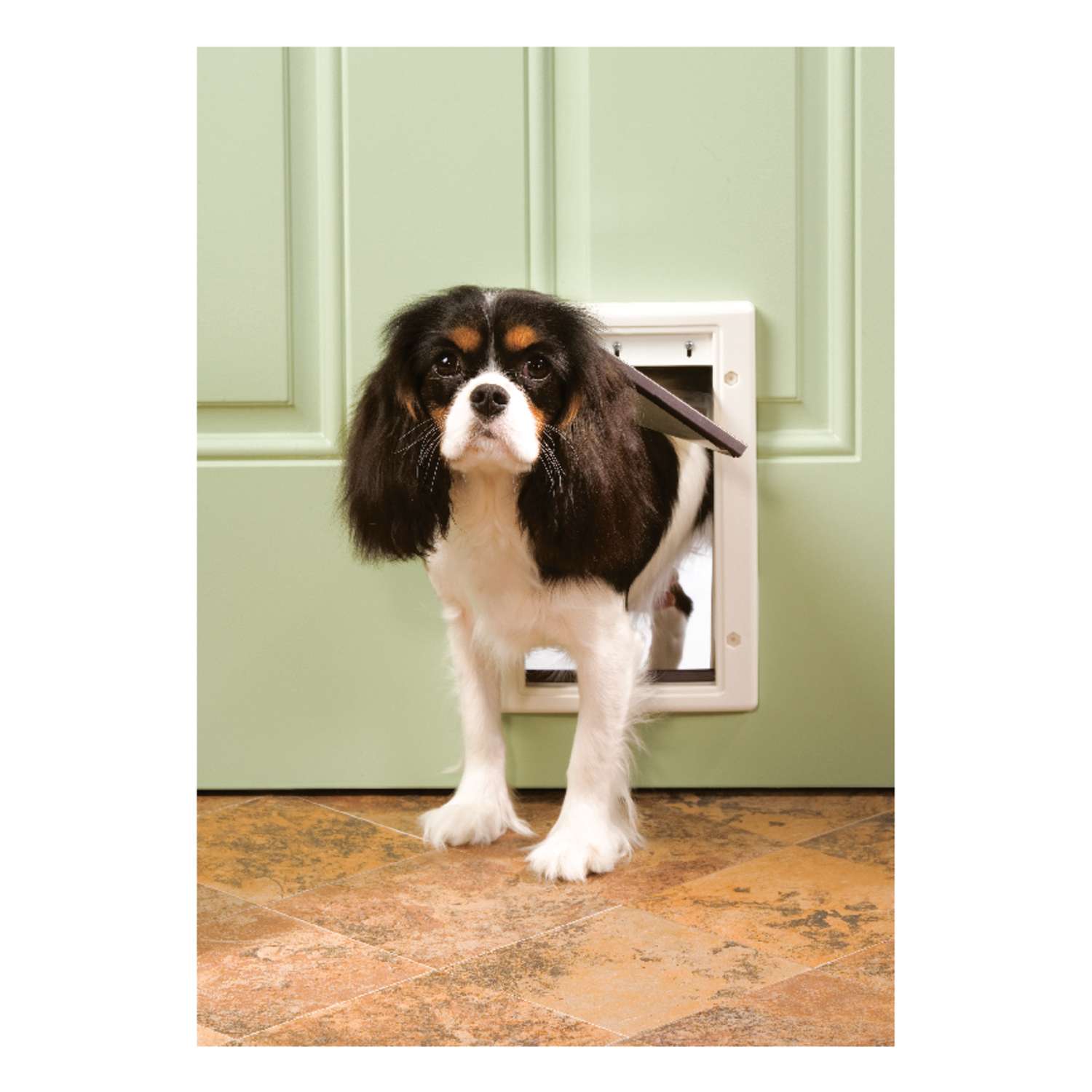 how much does it cost to install a dog door