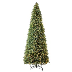 Celebrations 12 ft. Full Incandescent 1500 ct Grand Fir Christmas Tree