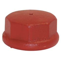 Water Source Well Point Cast Iron 1-1/4 in. Drive Cap