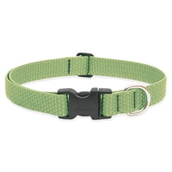 Lupine Pet Eco Moss Moss Recycled Plastic Dog Adjustable Collar