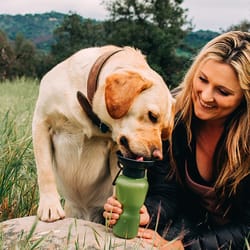 Highwave AutoDogMug Green Kelp Plastic 20 oz Portable Watering Bottle/Bowl For Dogs