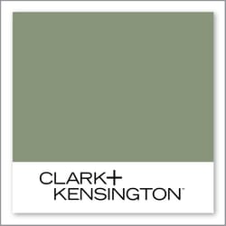 Clark+Kensington Mountain Greenery 28B-5