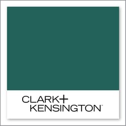 Clark+Kensington Wild Streak 31D-5