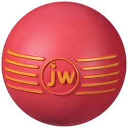 JW Pet iSqueak Assorted Ball Rubber Dog Toy Medium