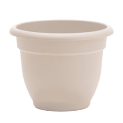 Bloem Ariana 5.25 in. H X 6.5 in. W X 6 in. D Plastic Traditional Planter Cream