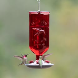 Perky-Pet Hummingbird 16 oz Glass/Metal/Plastic Antique Bottle Nectar Bird Feeder 4 ports
